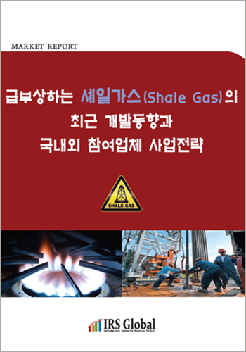 셰일가스(Shale Gas)의 최근 개발동향과 국내외 참여업체 사업전략