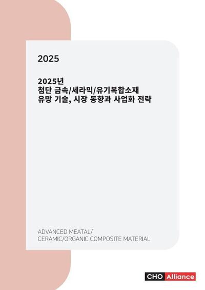 2025년 첨단 금속/세라믹/유기복합소재 유망 기술, 시장 동향과 사업화 전략