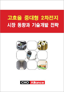 고효율 중대형 2차전지 시장동향과 기술개발 전략