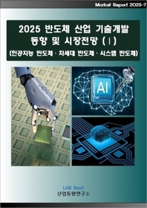 2025 반도체산업 기술개발 동향 및 시장전망 (Ⅰ)