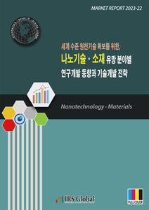 나노기술ㆍ소재 유망 분야별 연구개발 동향과 기술개발 전략 - 세계 수준 원천기술 확보를 위한 -
