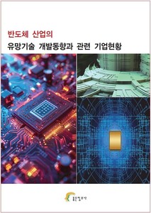 반도체 산업의 유망기술 개발동향과 관련 기업현황