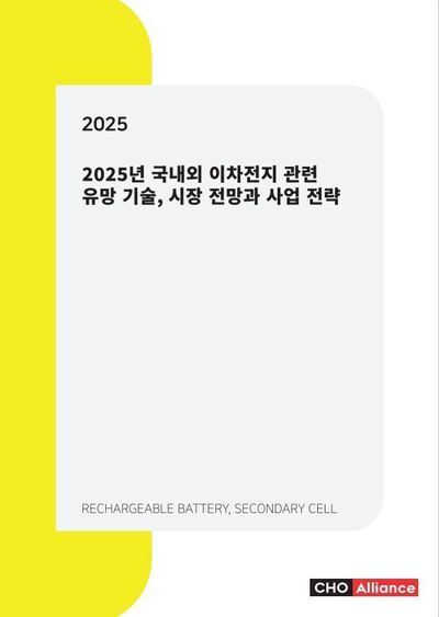 2025년 국내외 이차전지 관련 유망 기술, 시장 전망과 사업 전략