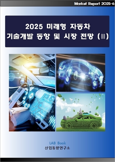 2025 미래형 자동차 기술개발 동향 및 시장전망 (Ⅱ)